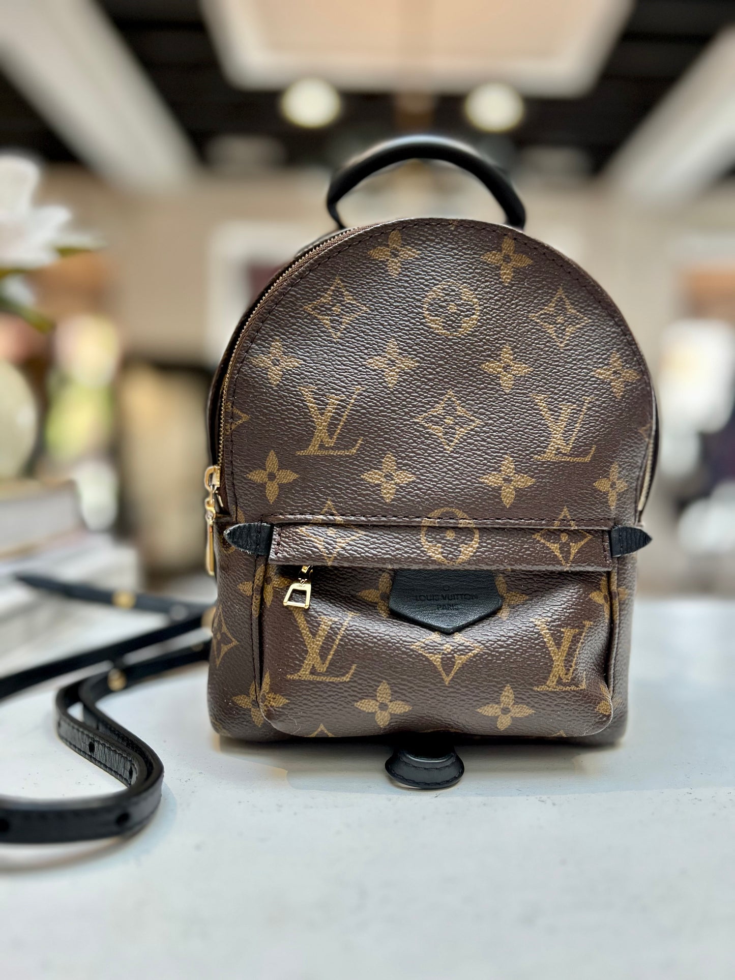 Louis Vuitton Palm Spring Mini